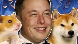 HamstersOfFTM's tweet photo. You can mint them here @elonmusk 🐹

https://t.co/P3Dy6AxRcQ 
#HnO #FTM $DOGE $HAM https://t.co/Sar68TALkk