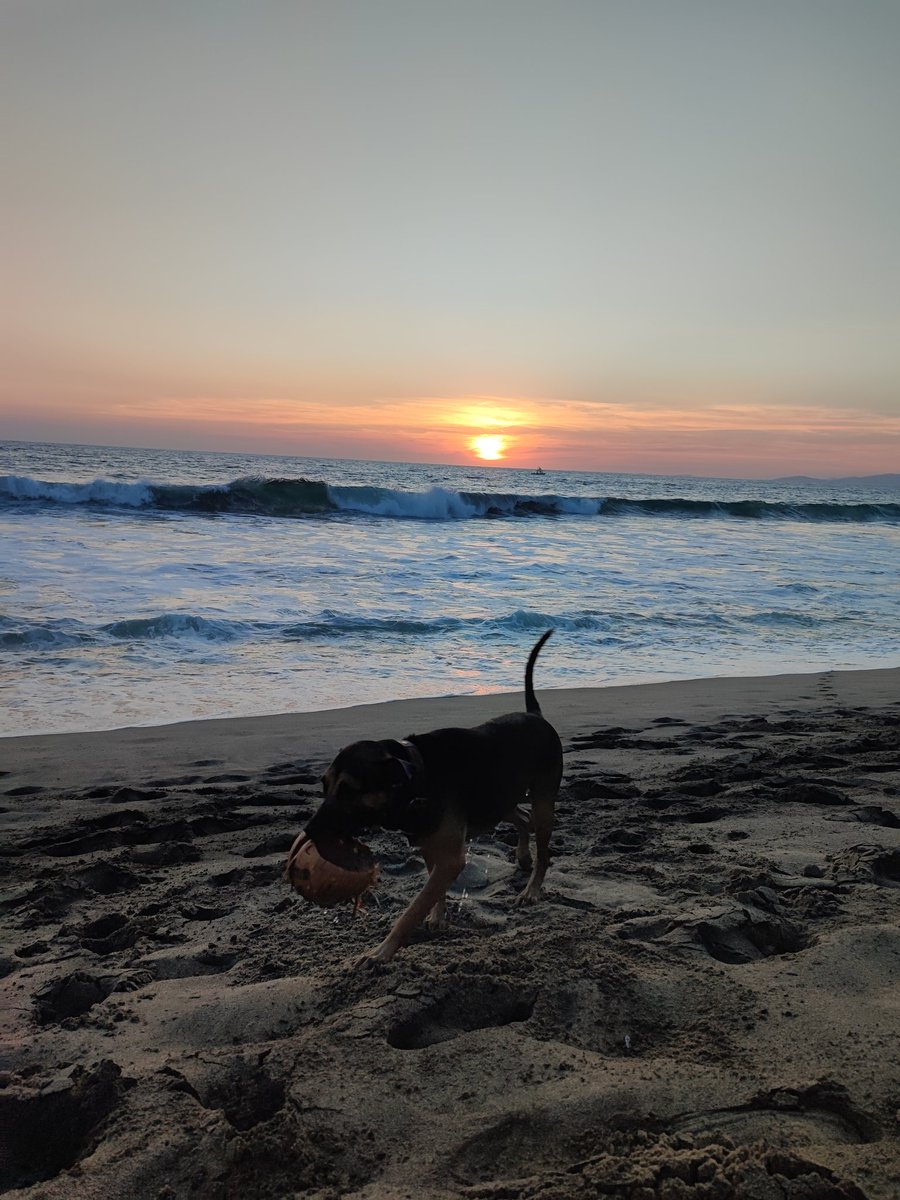 1 month in Mexico just completed ✅
The country and people are fantastic! Muy bien 🇲🇽🍻