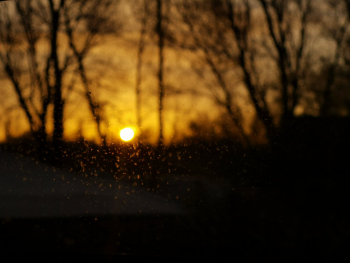 justin_kadafi's tweet photo. Morning sunrise #sunrise #sunrisedaily #photography #photooftheday #ThePhotoHour #PhotographyIsArt #photographers #stormhour think I need the windows cleaning Ooouuuvie #redlyfe #redflu #purpletwitter https://t.co/3sSbbOK2Lh