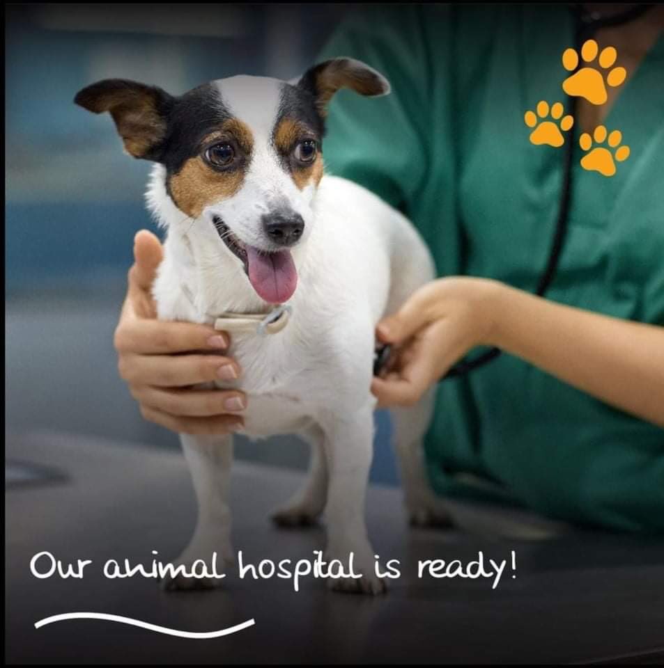 KritiKumar24's tweet photo. All roads lead to the opening of Amtm Hospital!
09-04-2022
Here’s wishing @amtmindia all the very best fr the unveiling of the new hospital!
May you continue to work endlessly fr strays as you have fr the last decade!!
More Power to u 💪🏽
#amtmindia #amtmhospital #animalhospital https://t.co/ySLMhZhjrC