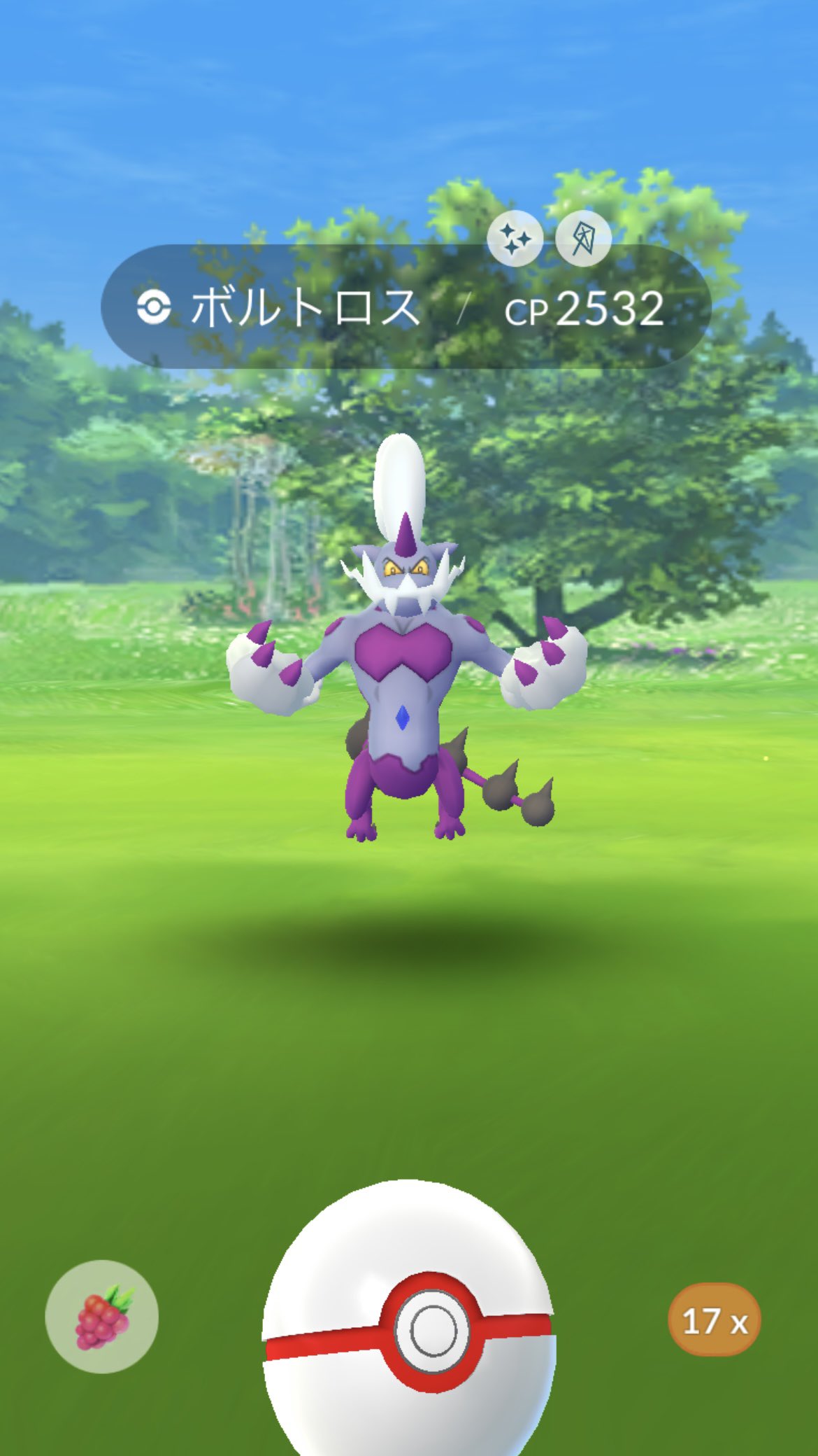 Gonyo 色違いのボルトロス 霊獣フォルムをget しました 無料パスあるし家ジムに湧いたしと何も期待せずにいると あるあるでした ポケモンgo ボルトロス Pokemongo T Co Kxikifhggs Twitter