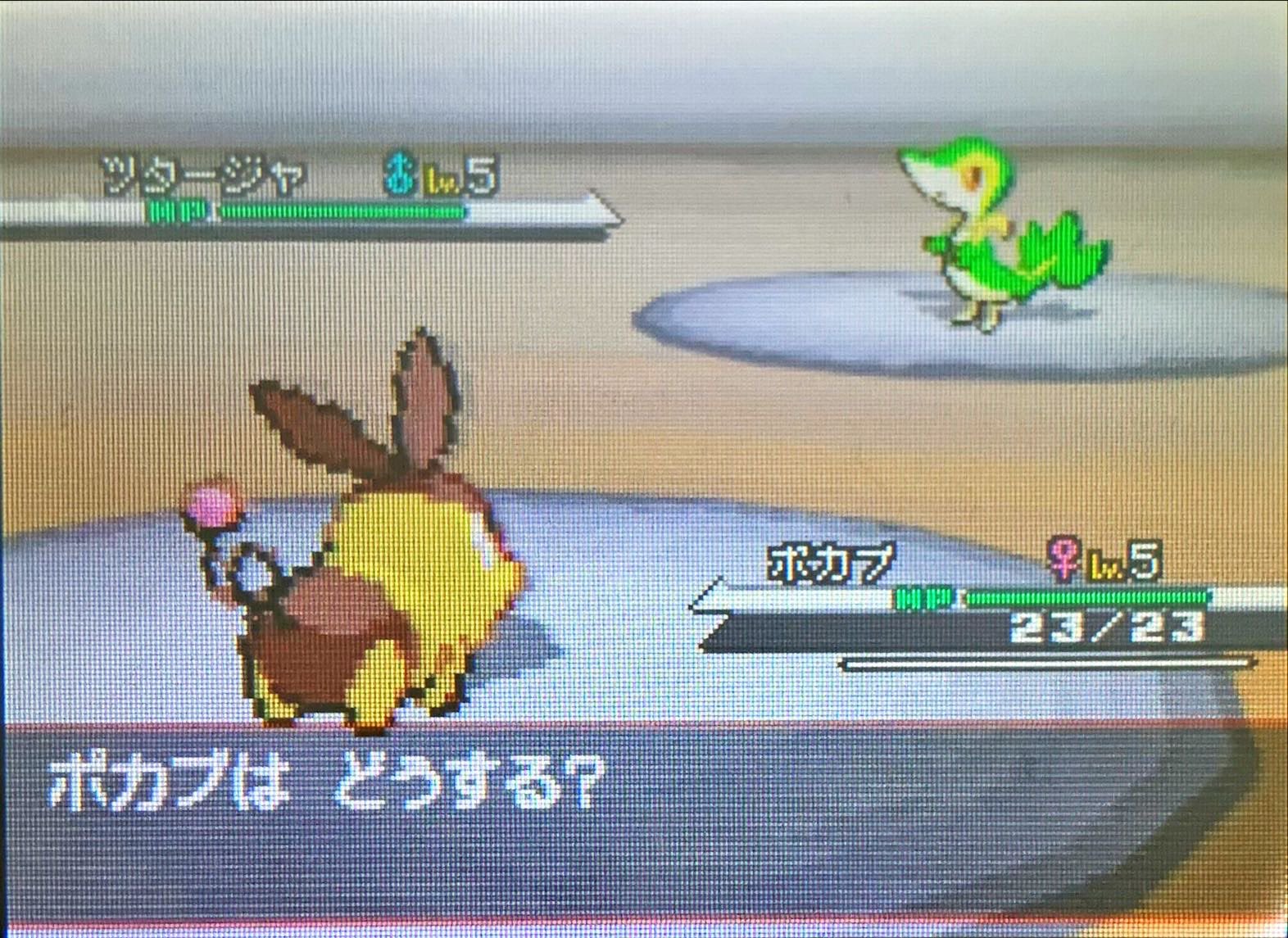 武蔵 F9ta4sqd0ahfw3l Twitter