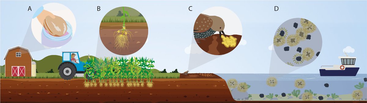 bacteriacities's tweet photo. We wrote an article for children about the benefit for biofilms: https://t.co/Bvf4KLMZDu https://t.co/0hbHTO9yXH