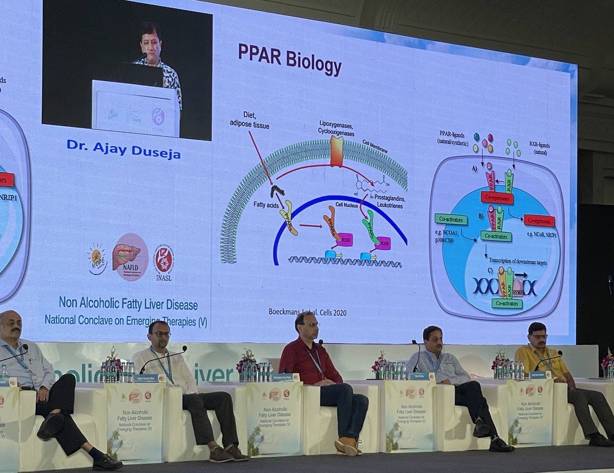 nash24x7's tweet photo. #PPARs in the treatment of #NASH and their journey so far , talk by leading hepatologist @ajay_duseja
#Saroglitazar #Lanifibranor #NASH #NAFLD #NAFLDConclave2022 https://t.co/BM7jBOFyXI