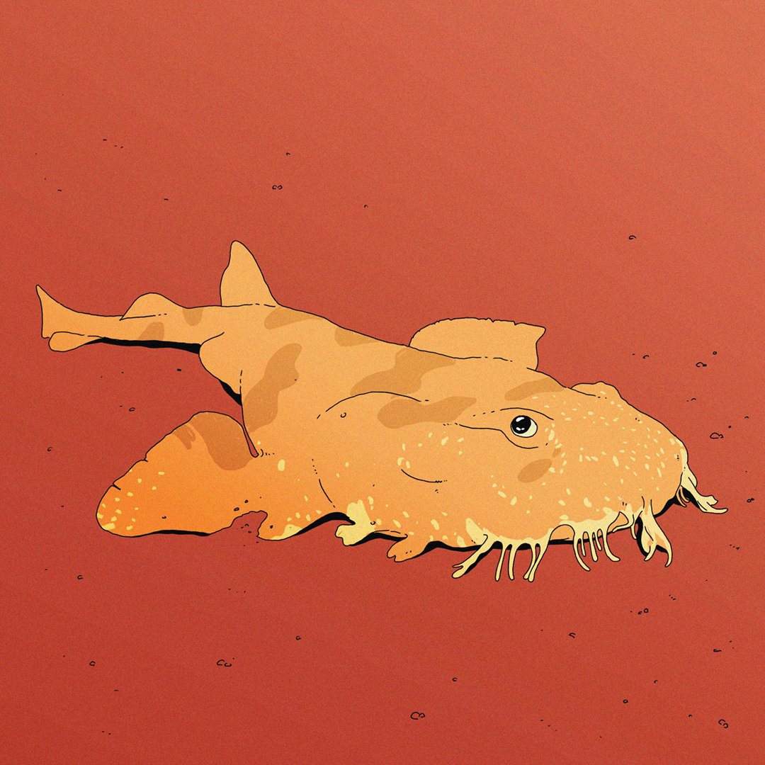 SOS: Save Our Sharks | MINT IS LIVE UNTIL 4/20 tweet media