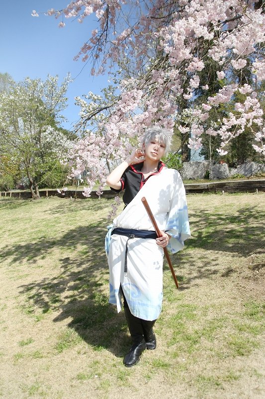 大阪府立花の文化園 植物園 公式 Gfc Osaka Twitter 大阪府立花の文化園 植物園 公式 Gfc Osaka Twitter