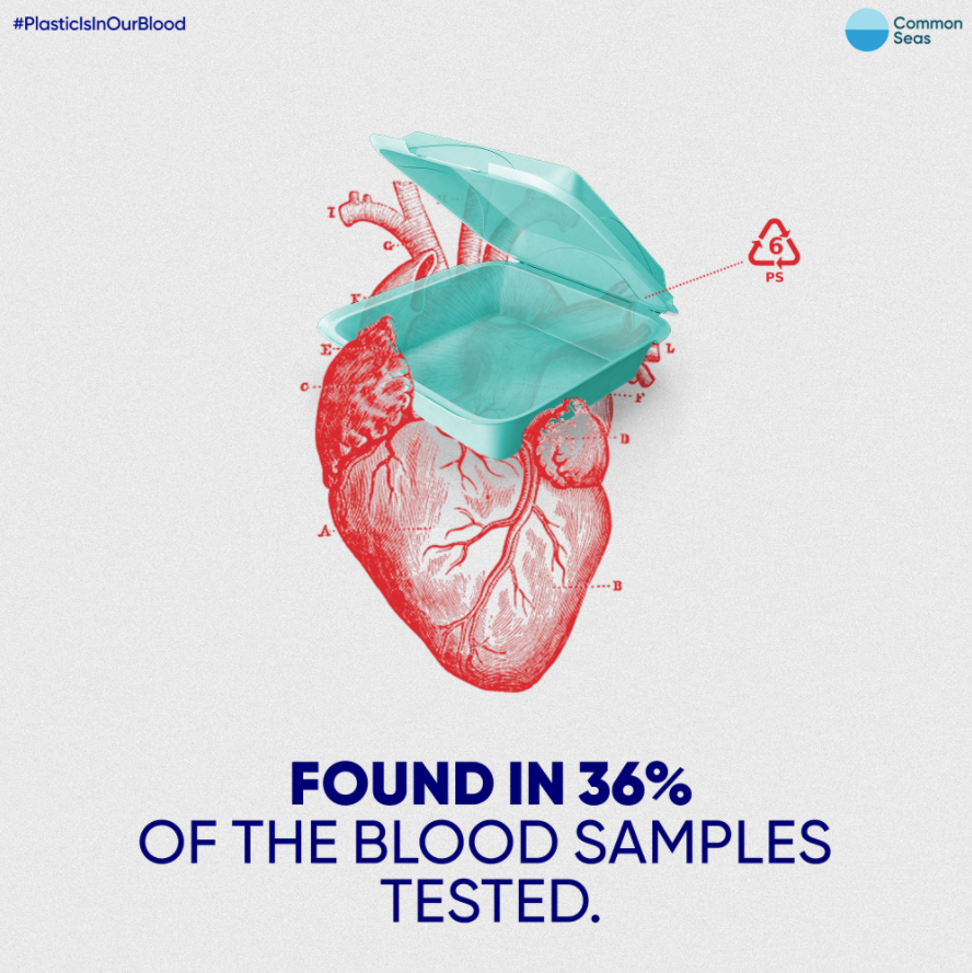 CommonSeas's tweet image. We recently discovered 4 types of plastic in human blood...

#4: Polystyrene was found in over 36% of people tested. It's used in many clear products like toys, test tubes, and food packaging. Scary...

👉 Sign our petition: change.org/p/ask-the-uk-g…
#PlasticIsInOurBlood