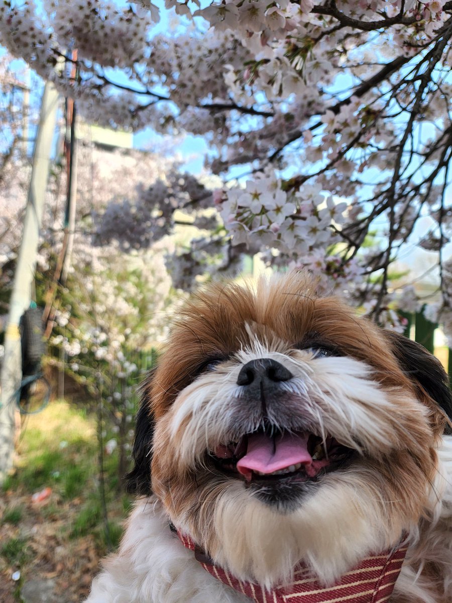 chocozzzang's tweet photo. 우리초코 왤케 고창석씨처럼 나왔지 https://t.co/CdRo7UWIZG