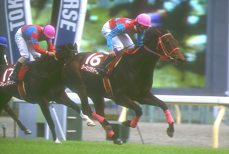 シーキングザパール　武豊　競走馬　写真パネル　額縁入り　スポーツ新聞付き photo-1_f6c1c172-2730-4aeb-