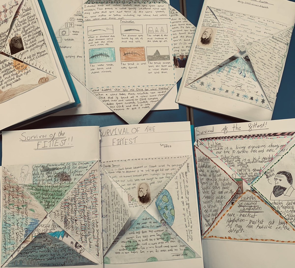 MrMJEllis's tweet photo. 🤔 Move aside double page spread 🤔 

The kids absolutely loved summarising their spring term learning with these flap style designs. They also followed their own line of enquire to research more information. 💻📚

Thankyou to whoever did this recently for the inspiration 🙌🏻 https://t.co/rKYygqETMO
