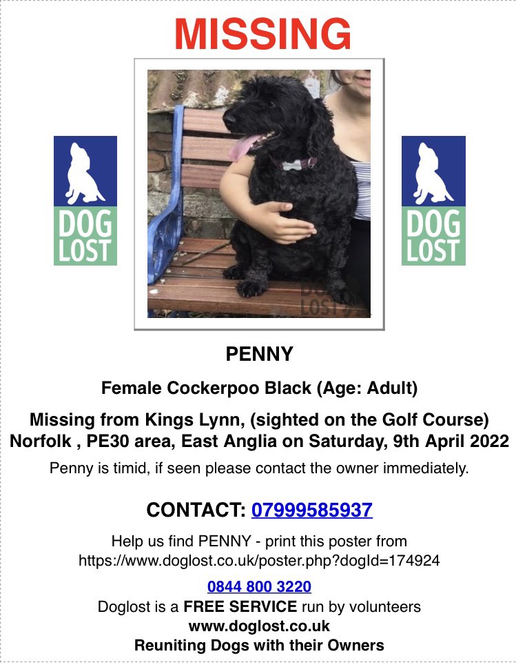 rosieDoc2's tweet photo. PENNY missing #KingsLynn (sighted on golf course) #Norfolk EAST ANGLIA #PE30 9/4/22
Female/adult black #Cockapoo wearing purple collar
CHIPPED SPAYED
PENNY IS TIMID PLS CONTACT OWNER ASAP IF SEEN
https://t.co/KzhkS38T4w
@Spaniels_Rule @MissingPetsGB @bs2510 @RachaelB100 https://t.co/ngxGNPI7Yw