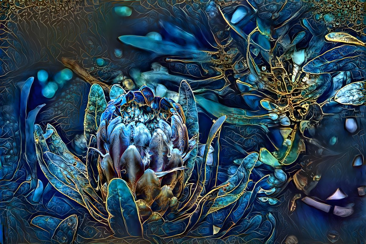 03

Collection - The universe of flowers
0,0007 ETH
<a href="/opensea/">OpenSea</a>  

opensea.io/assets/0x495f9…

#NFT #nftart #nftartwork #ethereum #opensea #nftflowers #nftworld #nftphotography #nftartist