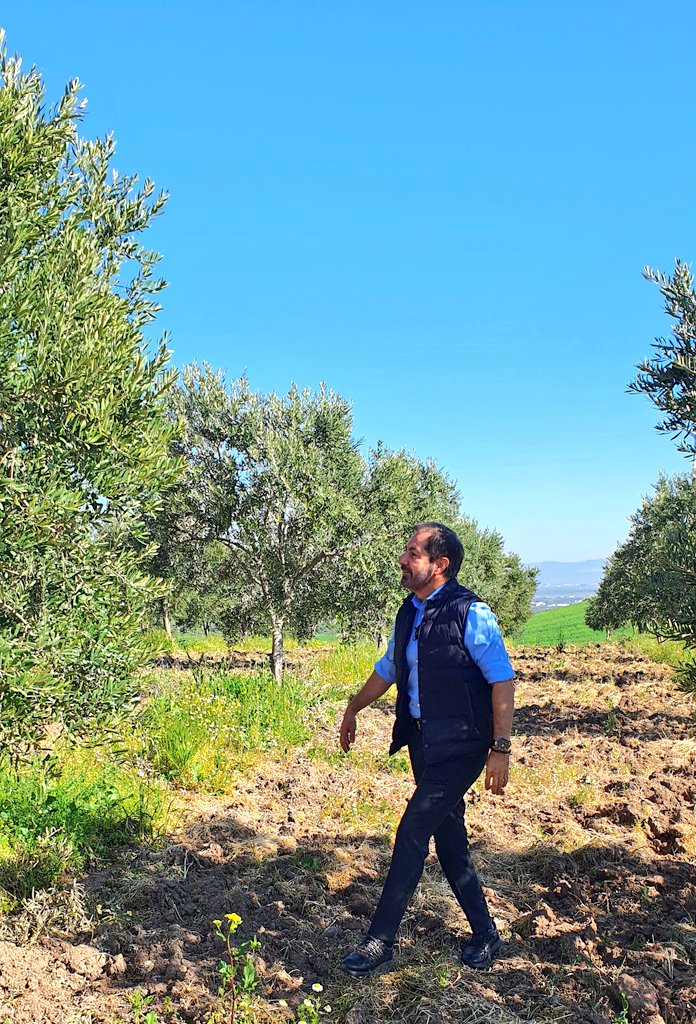 #ZeytinimeDokunma 

<a href="/halktvcomtr/">Halk TV</a>