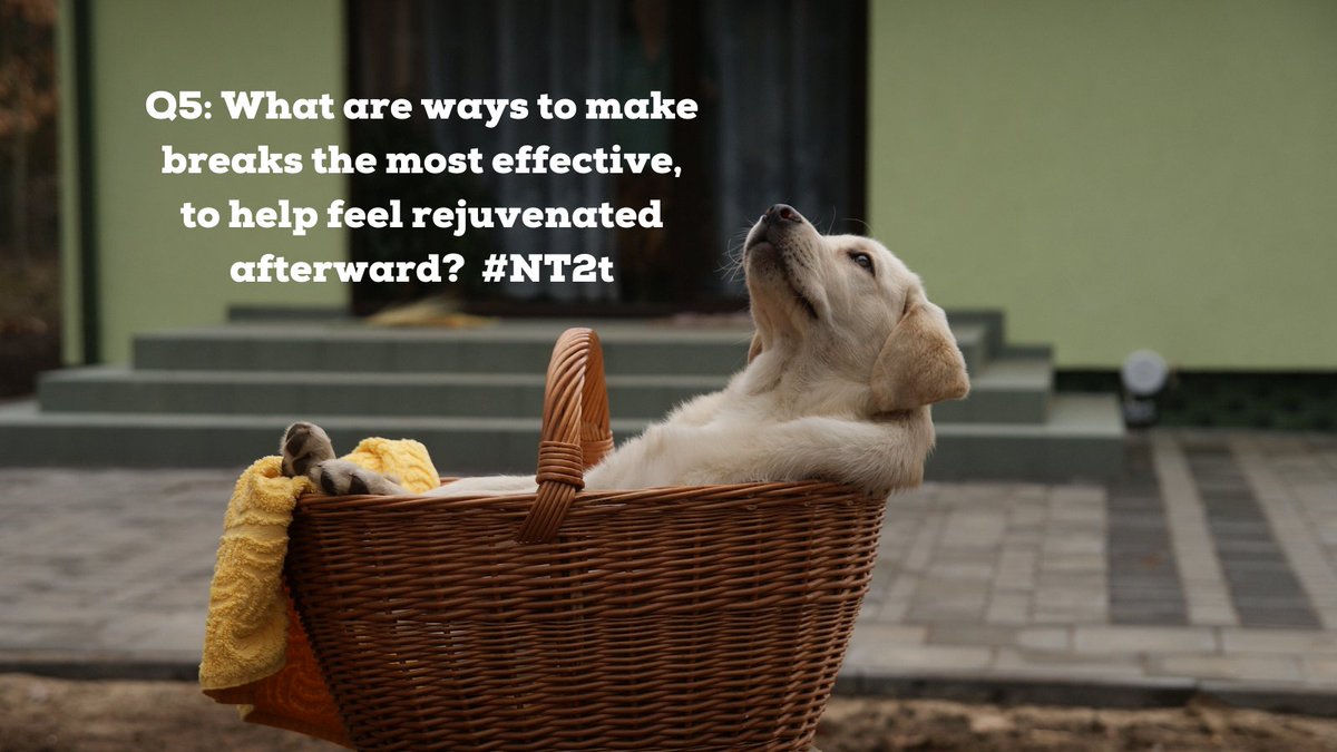JeremyDBond's tweet photo. Q5: What are ways to make breaks the most effective, to help feel rejuvenated afterward? #NT2t https://t.co/IREKZsV27F