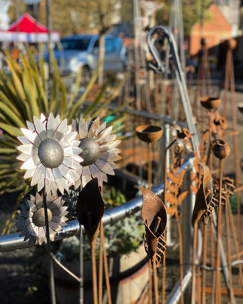 The #sun is shining and there’s a #hive of #activity in #Langport with #traders setting up. #Beautifulday #gardenalia #gardening #planters #gardenornaments #butsecondhand #vintagemarket