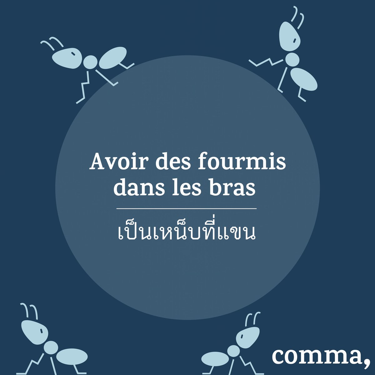 comma_fr tweet picture