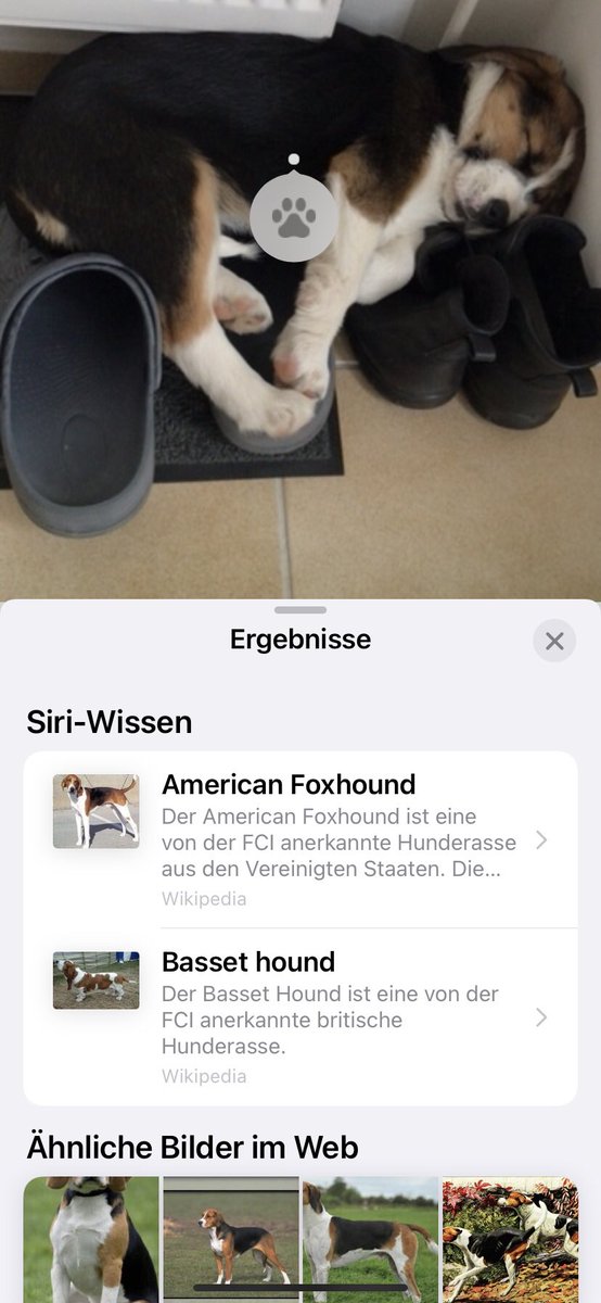 hamster44's tweet photo. Gute Entdeckung von @hosi1709 
https://t.co/9OhklUvgA1

(Bei "Ella liebt Schuhe" pokert Siri ein bisschen.) https://t.co/yBLDRfgyT6