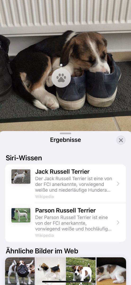 hamster44's tweet photo. Gute Entdeckung von @hosi1709 
https://t.co/9OhklUvgA1

(Bei "Ella liebt Schuhe" pokert Siri ein bisschen.) https://t.co/yBLDRfgyT6