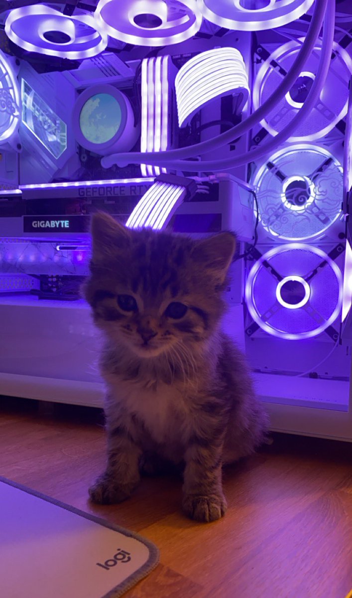 astelic ☾ tweet media