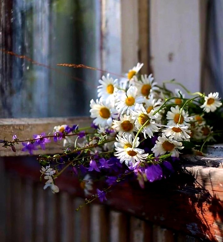 Günaydın 🌼
Mutlu hafta sonları 😊