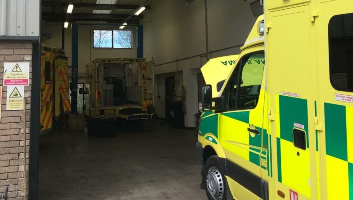 Mateo Szmidt 🇺🇦 tweet media