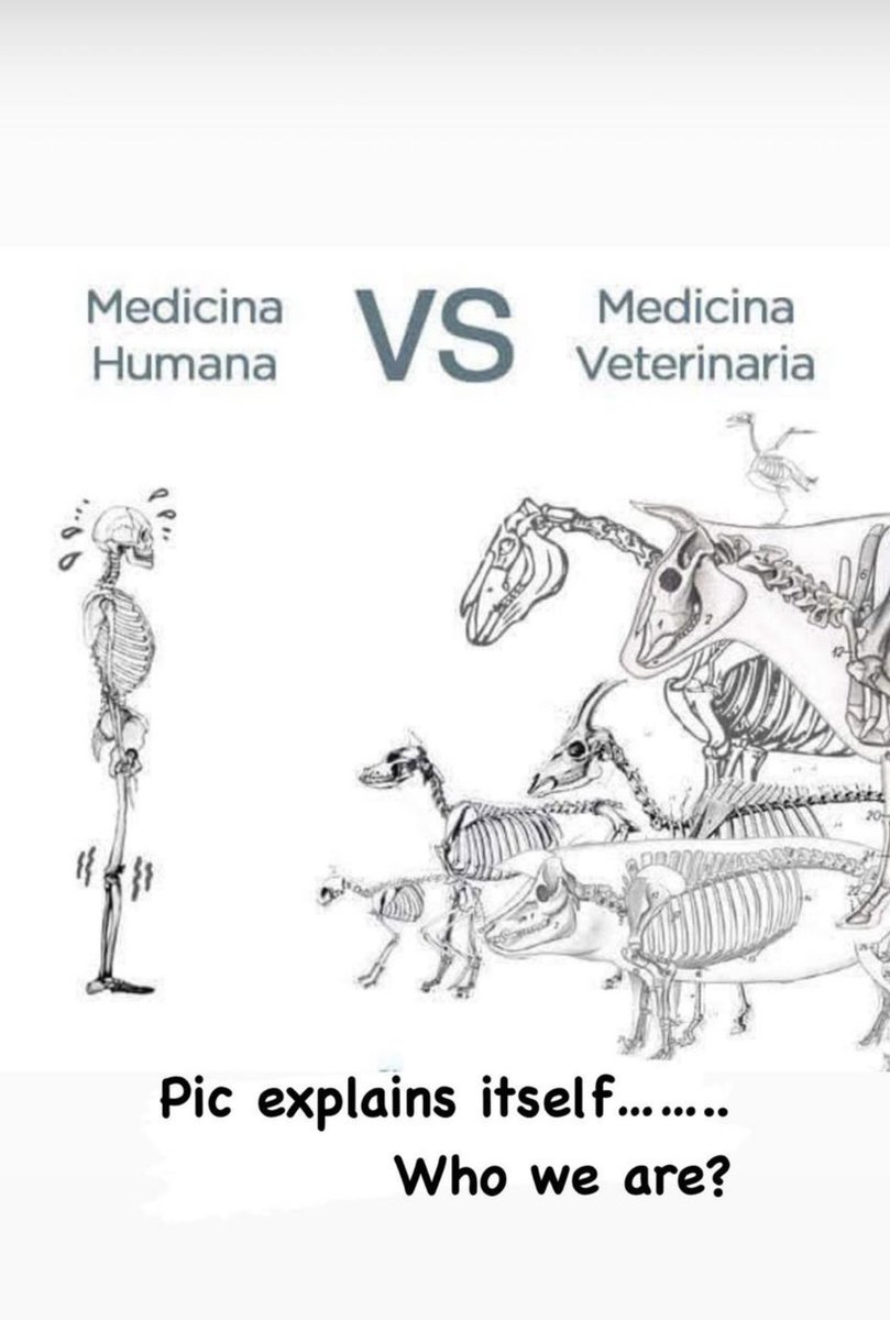 lalkrishnamanda's tweet photo. Now its high time for Govt to shift its focus towards Veterinarians &amp; increase their stipend.#HP_Vet_Stipend 
@CMOFFICEHP @irakeshpathania @iSureshBjp @vskanwar04 @govind4betterHP @TrilokKapoorOfc @himachalkesari @Jagranjosh @DainikBhaskarBR @ShimlaTimes @airnews_shimla https://t.co/K0AWJLqAxn