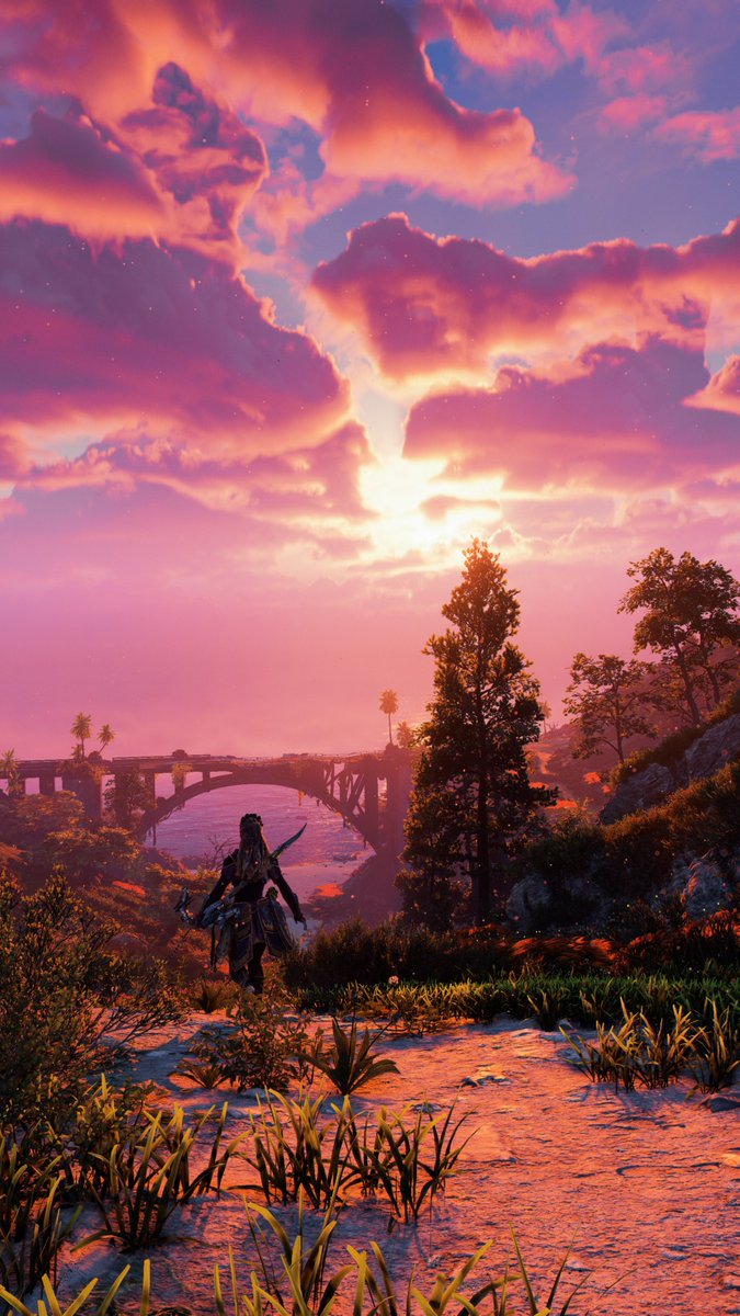 VirtuallyKirsty's tweet photo. Off into the Sunset ☀️

#HorizonForbiddenWest #BeyondTheHorizon #VirtualPhotography #SimpleShotSaturday #VGPUnite @PlayStationUK https://t.co/vYvgIUygBm