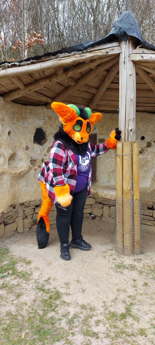 cozwoz2010's tweet photo. Little hobbit wickerbeast lol. Taka going around apedale. ✂️ @zafuterkowana #wickerbeast #taka #kingbeast #apedale #furryfandom #furry #photoshoot https://t.co/JDWkkJF2AQ