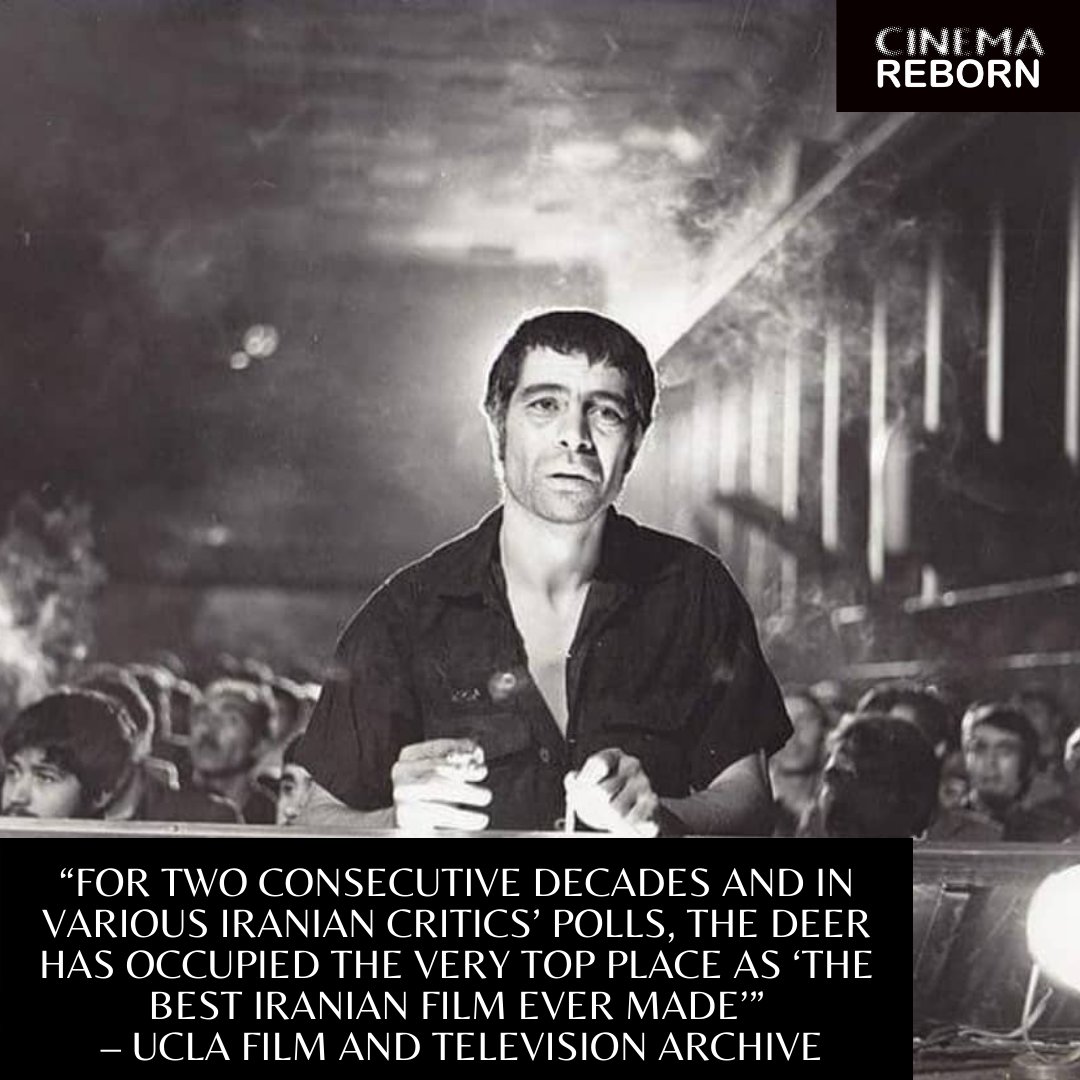 CinemaReborn's tweet photo. Don’t miss this rare screening of Iranian filmmaker Masoud Kimia’s deeply moving political manifesto The Deer (1947). 
1:00 PM FRI APRIL 29TH // 10:00 AM SAT APRIL 30TH  Randwick Ritz @ritz_cinema
Tickets in bio and at https://t.co/fv8KfRqHvA
#cinemareborn #sydneyfilmfestival https://t.co/rh9UIddTzm