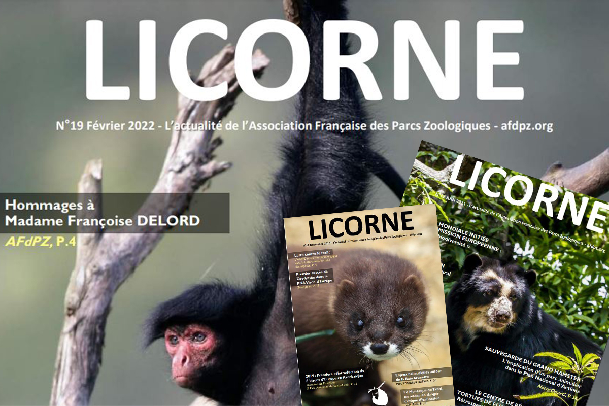 zoobeauval's tweet photo. En cette journée de la #licorne, zoom sur le journal de l’ #AFdPZ: la licorne ! 📰🦄
Retrouvez toute l’actualité de l’AFDPZ dans le dernier numéro paru en février 2022.🦓🐒
➡ https://t.co/9bcGCfZJkz https://t.co/SK4PznilZT