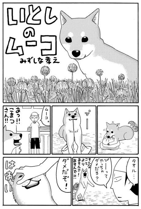 1日遅刻の #柴の日。いとしのムーコ連載前のプロトタイプバージョンです。 
