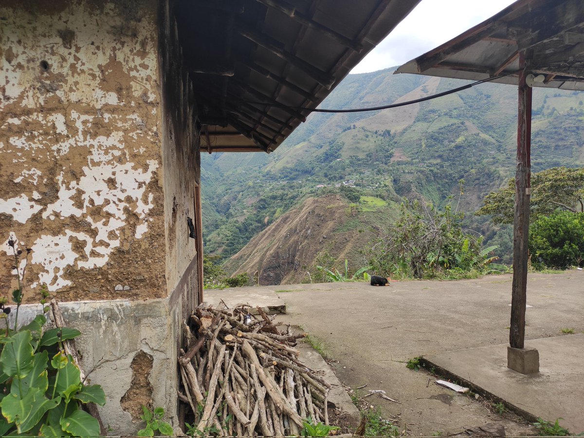 ISAZULETA's tweet image. Con enorme tristeza denuncio que hace poco detonaron un artefacto explosivo en la vereda Quebrada del Medio en #Ituango #Antioquia sabemos de más de 12 heridos y algunos muertos. 
Este dolor tiene que parar!
Les pedimos no olviden lo que pasa en los lugares más remotos del país