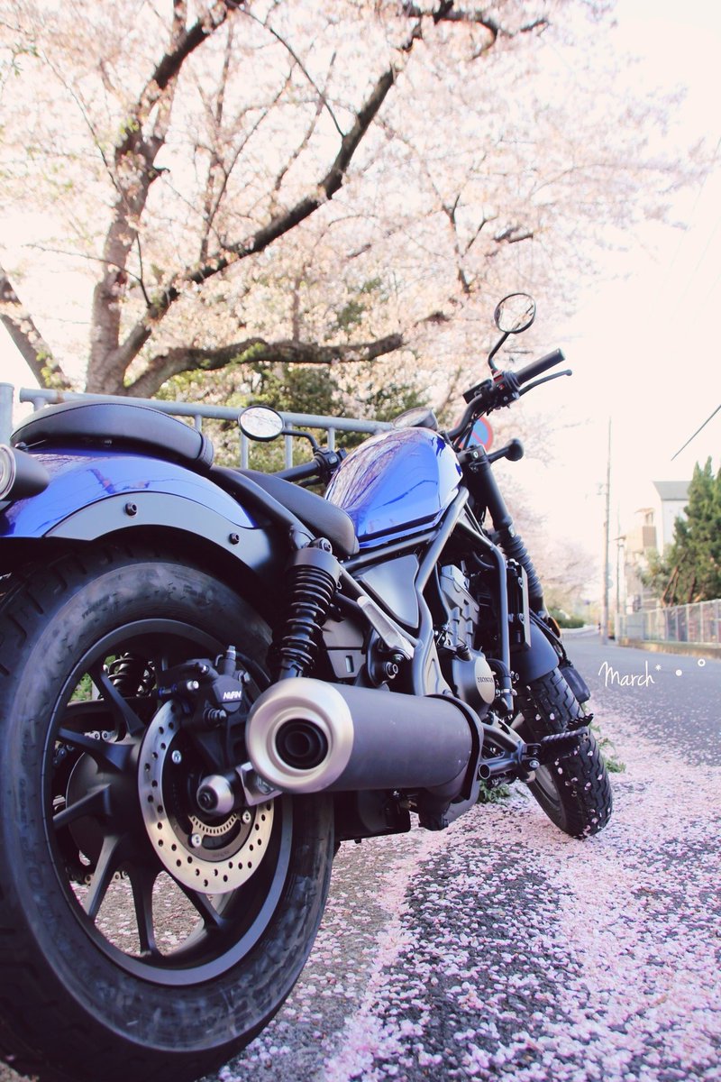 名前：March
性別：♀︎
年齢：昭和
身長：150
愛車：#レブル250 S Edition
一言：📸撮り
去年タンデム卒業/免許1度失効/普二輪は初
もっと上達して色んな場所📸行きたいです

#バイク乗りとして軽く自己紹介
↑やってみたかった😄
#バイク乗りと繋がりたい
#バイク好きと繋がりたい
#バイクのある風景