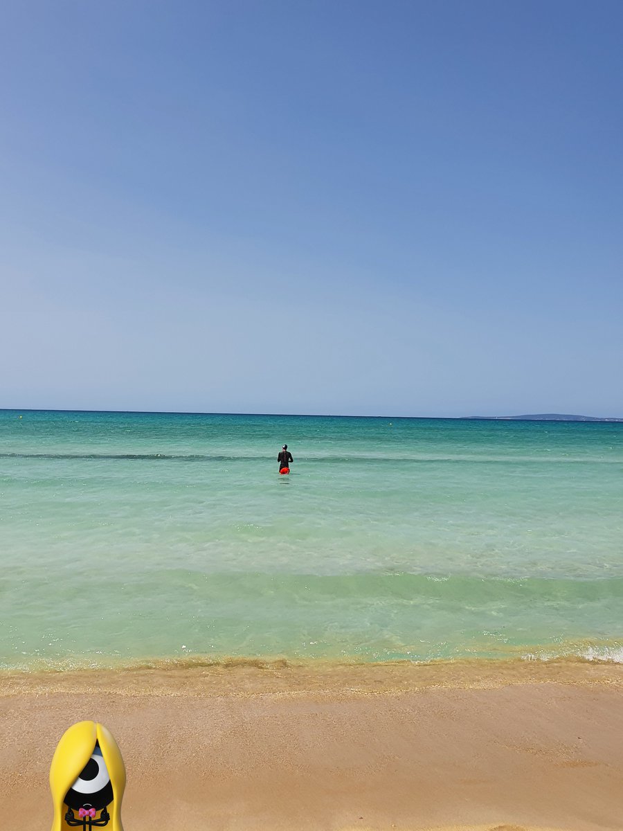 jonasvds5's tweet photo. Travel memory of last year🌊☀️
@DourDarcelsNFT #Dourdarcels #GMDD #TravelWithDD #OpenWaterSwimming https://t.co/ptovV69Dqn