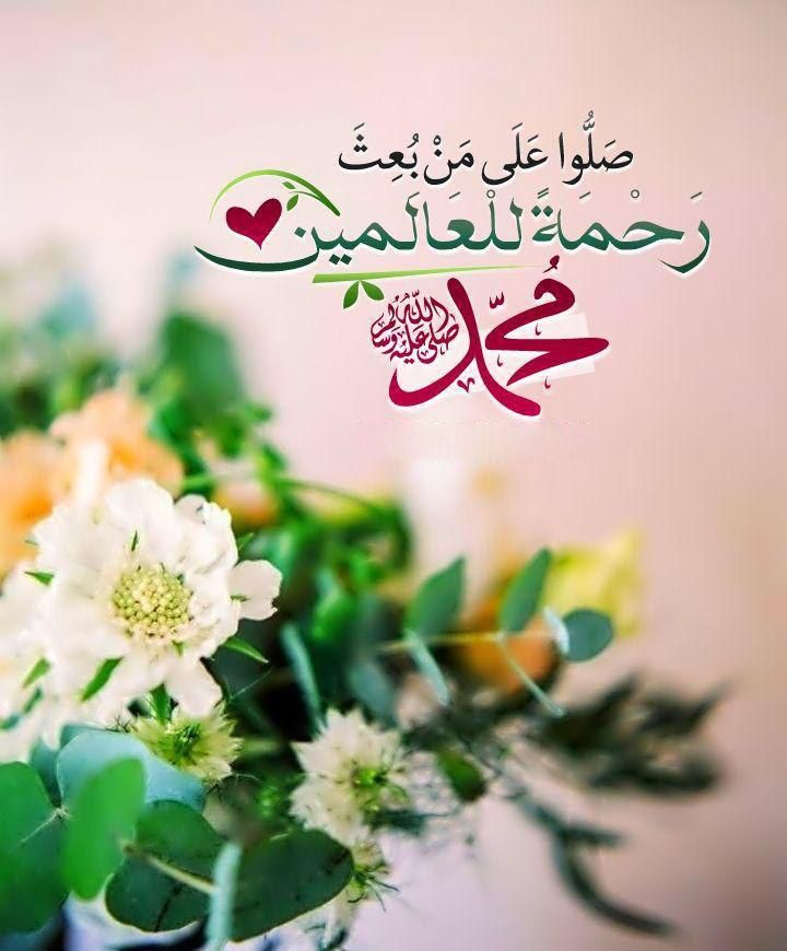 خالد ابو ربيع (@abwrby56568212) on Twitter photo 