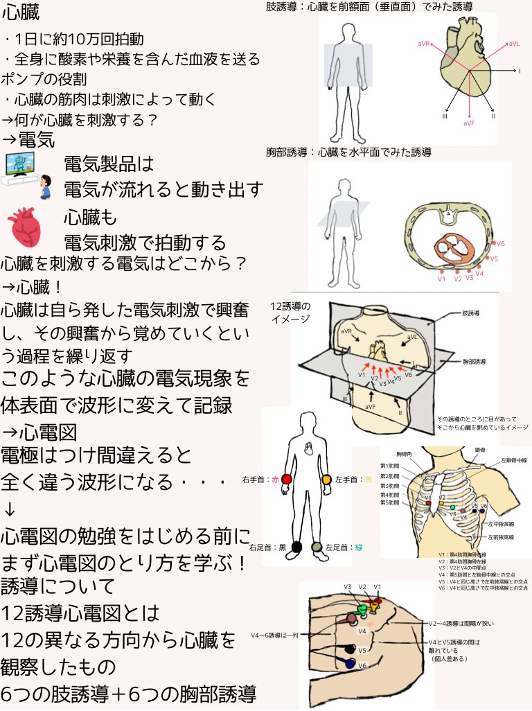 テキサスブロンコ Radkxarei0bjcug Twitter