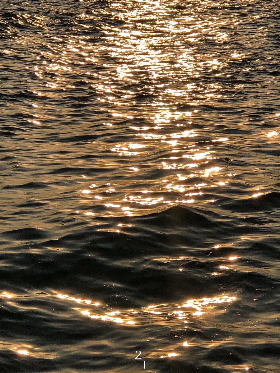 21decvibes's tweet image. the smell of the beach never gets old