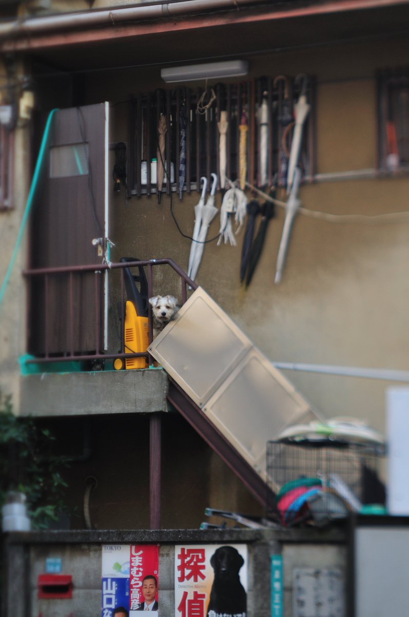 StudioRei's tweet image. 2011年1月。#東京 #巣鴨 で撮った写真。…一瞬で脳内に入ってくる情報量が多過ぎて、状況理解が追い付かない。この頃からかなぁ。変な風景？を好んで撮るようになったのは。#ティルトレンズ #写真好きな人と繋がりたい #ファインダー越しの私の世界 #懐古 #追憶 #ノスタルジー  #ruins #urbex