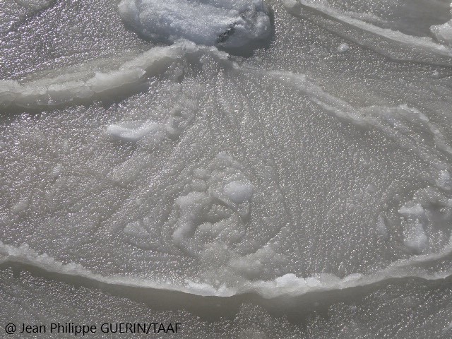 #Antarctique | Les hivernants de la base Dumont-d’Urville du district TAAF de terre Adélie assistent au blanchissement de la surface de l'océan qui se déroule en 3 phases : le fraisil, les crêpes et enfin la phase de cimentation. > bit.ly/3LVzCCX @lesoutremer @_IPEV