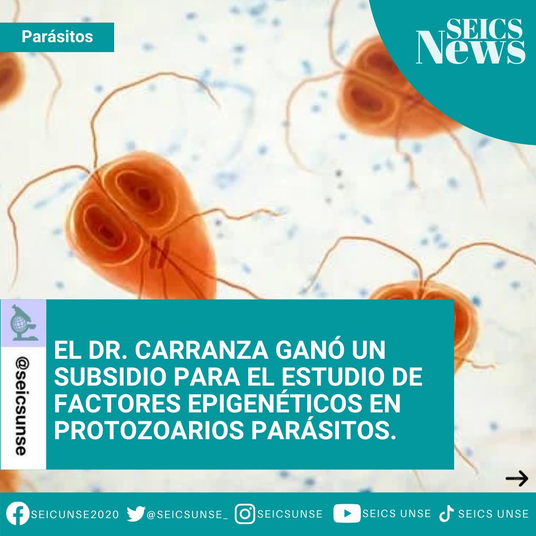 seicsunse_'s tweet photo. SEICS NEWS 📰
.
✅ El Dr. Carranza, docente de la FCM UNSE y FAYA, ganó un subsidio para el estudio de factores epigenéticos en protozoarios parásitos.
.
➡️ Mirá la News y enterate más.

(Part1)
#seics #somoseics #parasitos #ciencia #parasites #science #saludpública #seicsvirtual https://t.co/CC5MzsPRZg