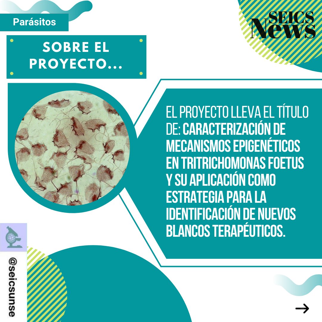 seicsunse_'s tweet photo. SEICS NEWS 📰
.
✅ El Dr. Carranza, docente de la FCM UNSE y FAYA, ganó un subsidio para el estudio de factores epigenéticos en protozoarios parásitos.
.
➡️ Mirá la News y enterate más.

(Part1)
#seics #somoseics #parasitos #ciencia #parasites #science #saludpública #seicsvirtual https://t.co/CC5MzsPRZg
