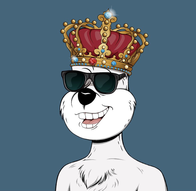 QuirkiestQuokka's tweet photo. King of the castle! #TribeQuokka #TribeUp #QuokkaOn #Crown #NFT #NFTCollection #Trending #BAYC #Rivals #OpenSea #WheresAreDiamondsOn @TribeQuokka https://t.co/txYi4EhIn1