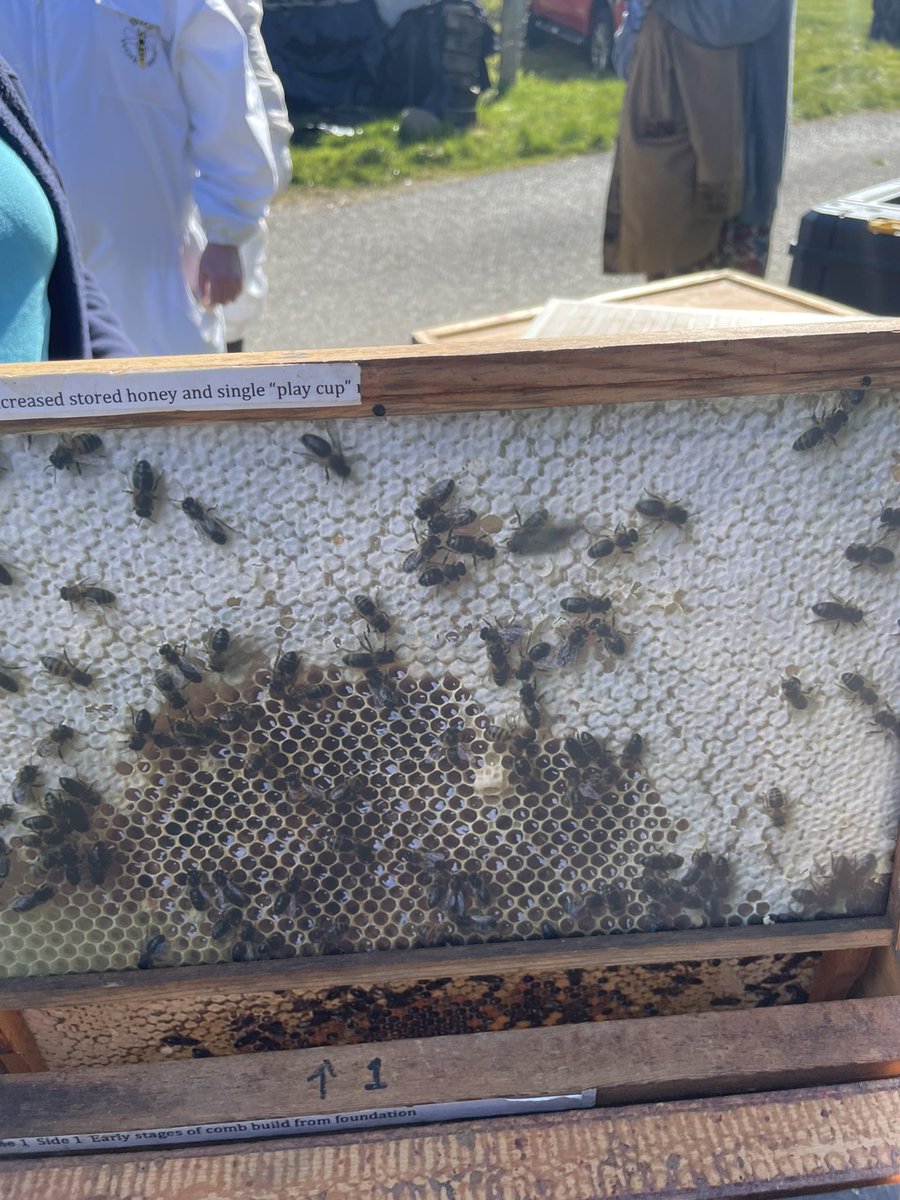 <a href="/FriendsofGRI/">Friends of Glasgow Royal Infirmary</a> at our bee 🐝 keeping course with <a href="/AyrBeekeepers/">Ayr Beekeepers</a> Won’t be long before we have more #gri hives 😍 &amp; hopefully more 🍯 Get in touch if you want to sponsor one of our 🐝 🐝☺️