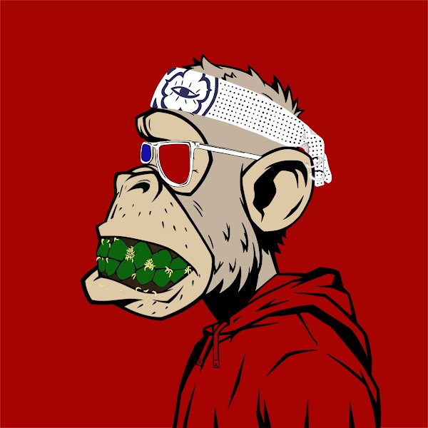 Tommy_Zoo's tweet photo. It’s time for another FREE giveaway folks!🔥One lucky person will win this 🟥#0xRED🟥 Chad😎.Current floor price is 0.019 ETH. To enter you MUST follow @0xSocialClub and @Tommy_Zoo. Like, Retweet and tag 3 friends in this tweet. Winner announced 10pm (UK) on Sunday⏰GL🤝🟨🟥⬛️🟩 https://t.co/NFH6Rw2dGL