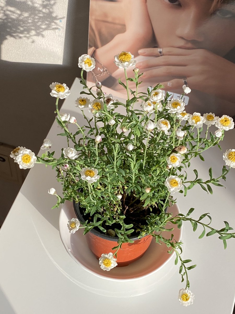 handdo_'s tweet photo. 🌞 https://t.co/wK8dSkAG0t