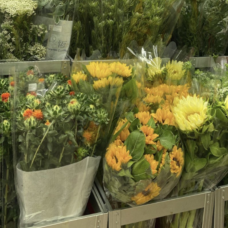 arsramay's tweet photo. flower shop https://t.co/fC1STotG87