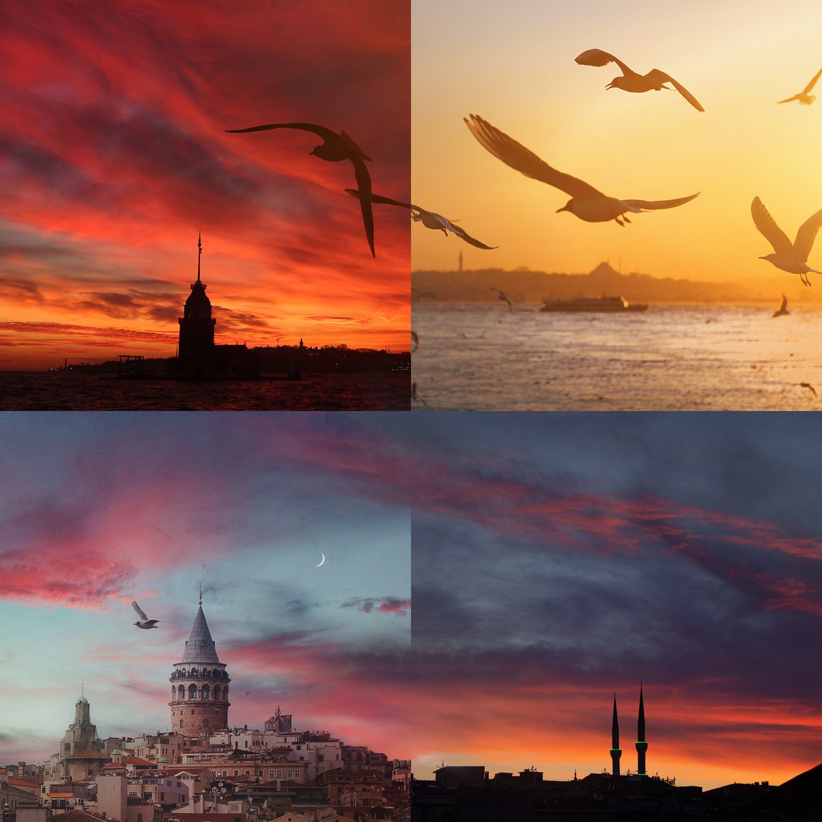 Kırmızının en güzel tonlarını harmanlamak ✨