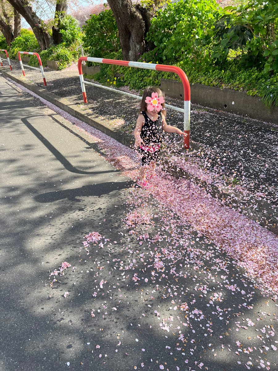 2019_10_5's tweet photo. めっちゃ晴れてたから近くのとこでお散歩しながら桜見た〜🌸🌸🌸 https://t.co/wPlyWaxYwi