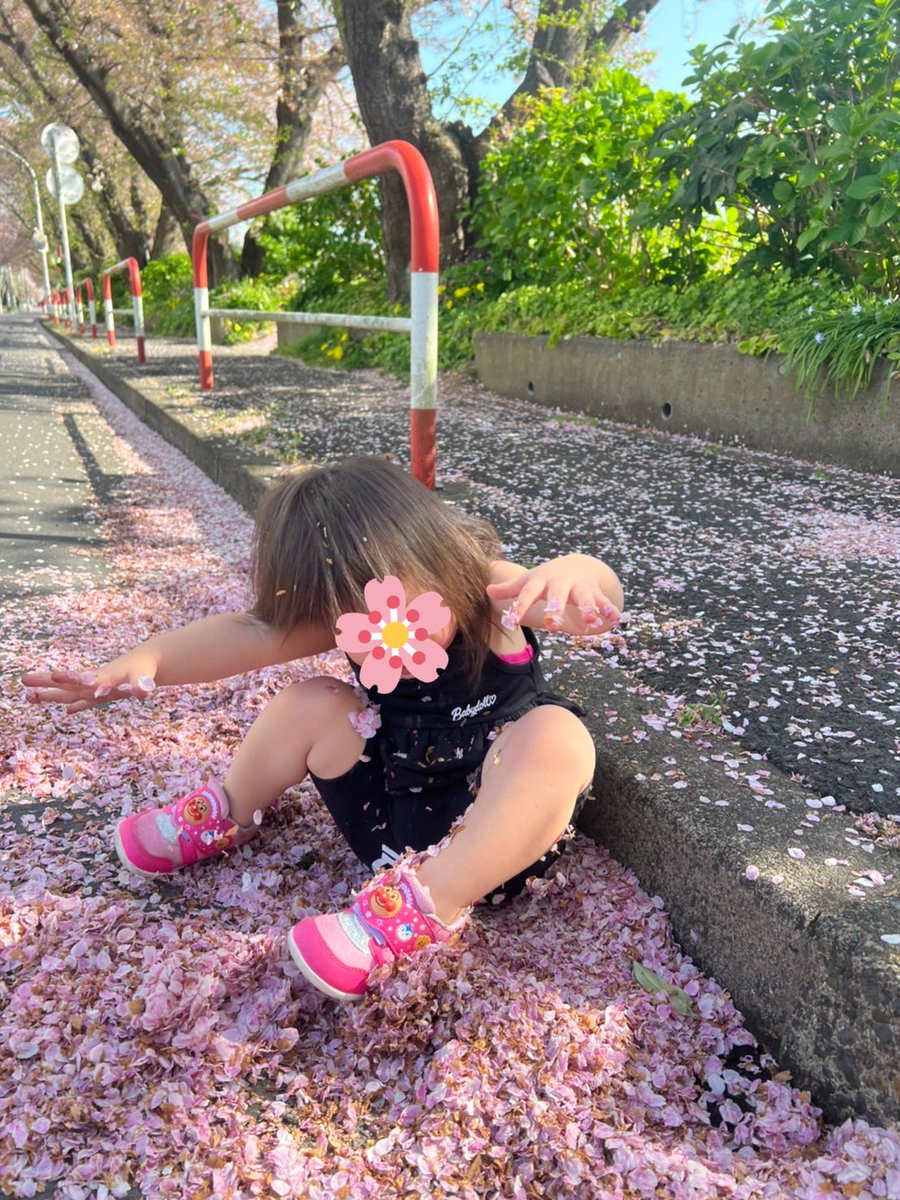 2019_10_5's tweet photo. めっちゃ晴れてたから近くのとこでお散歩しながら桜見た〜🌸🌸🌸 https://t.co/wPlyWaxYwi