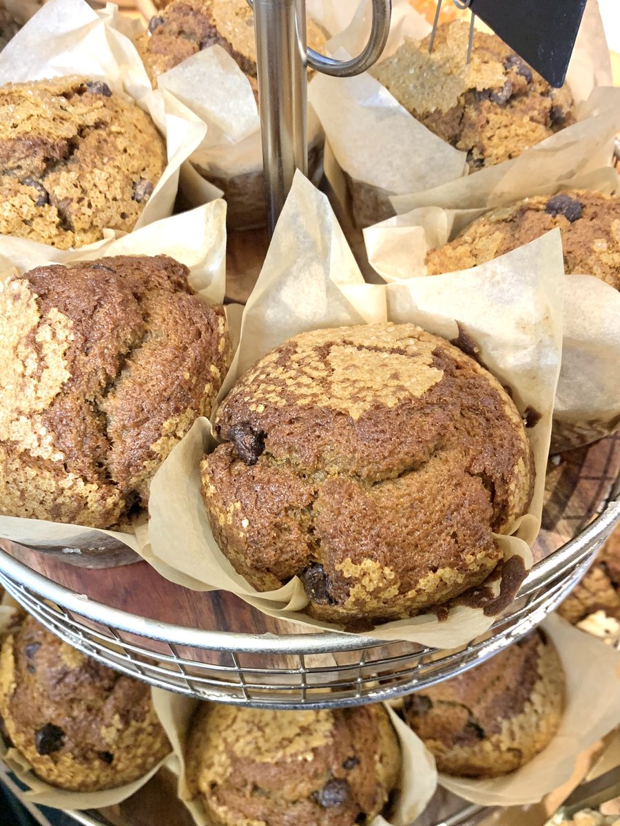 LittleDogCoffee's tweet photo. We believe pumpkin should be on the menu, no matter what time of year. Have you tried our pumpkin chocolate chip muffins yet? 😍 #brunswickmaine #coffeeshop https://t.co/2uWZfTJDTY